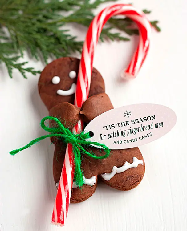 Biscoito gingerbread para você fazer