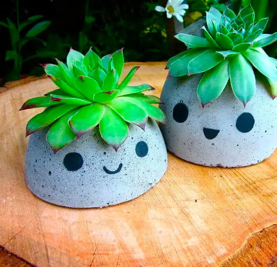 Crie vasos de concreto diferentes e divertidos e deixe o seu jardim mais engraçado