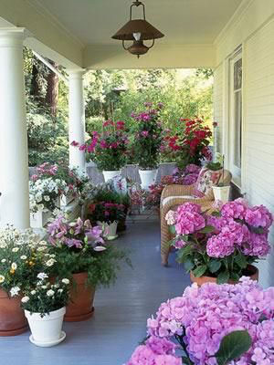 Jardim com vasos