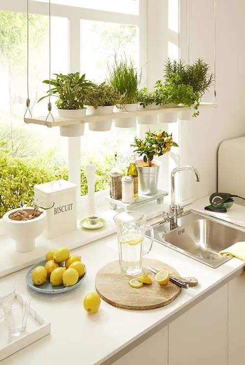 Mini Horta Em Apartamento: Suspenda a horta sobre a pia da cozinha