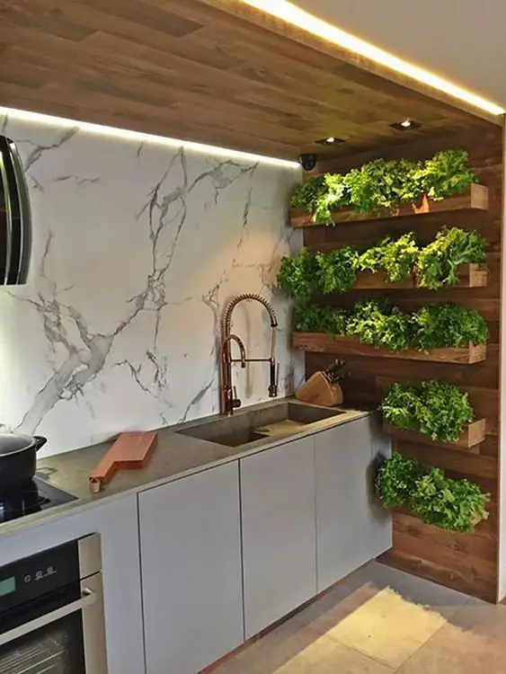 Horta vertical na cozinha