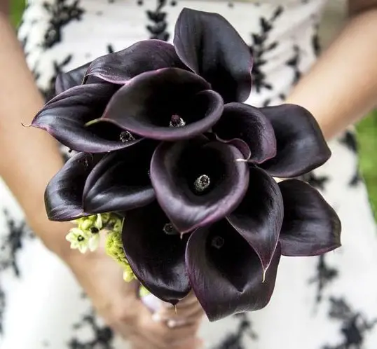 Buquê de flores negras