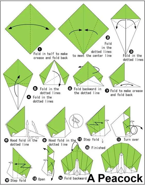 Origami de pavão