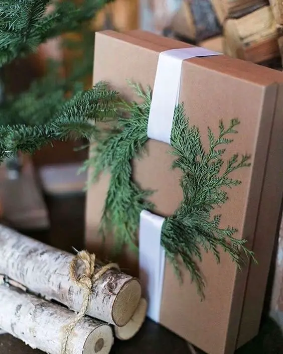 Caixa de papelão com ramos de pinheiro