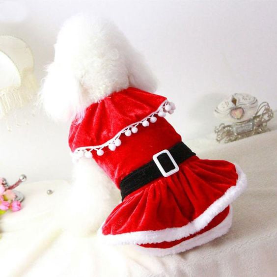 Roupas de cachorro para Natal Roupas de cachorro para Natal