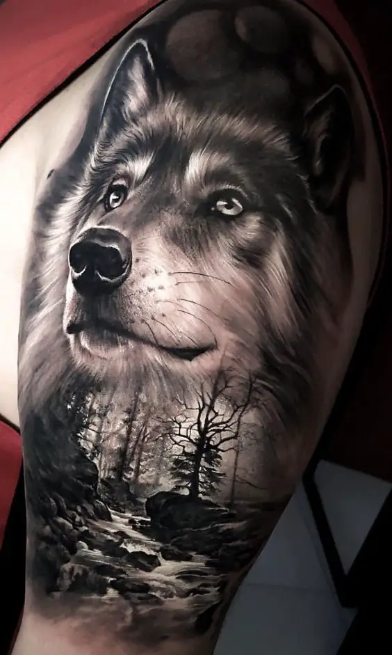 Tatuagem de Lobo com riacho e floresta ao fundo