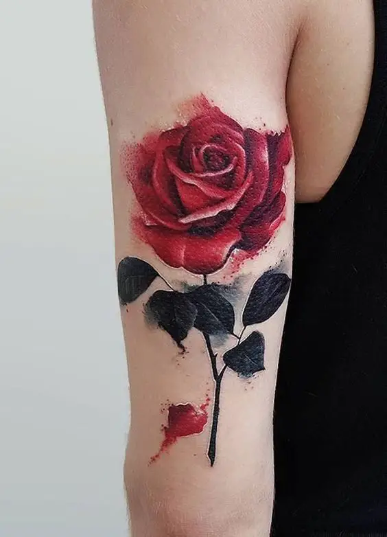 Tatuagem de Rosa Vermelha no Braço