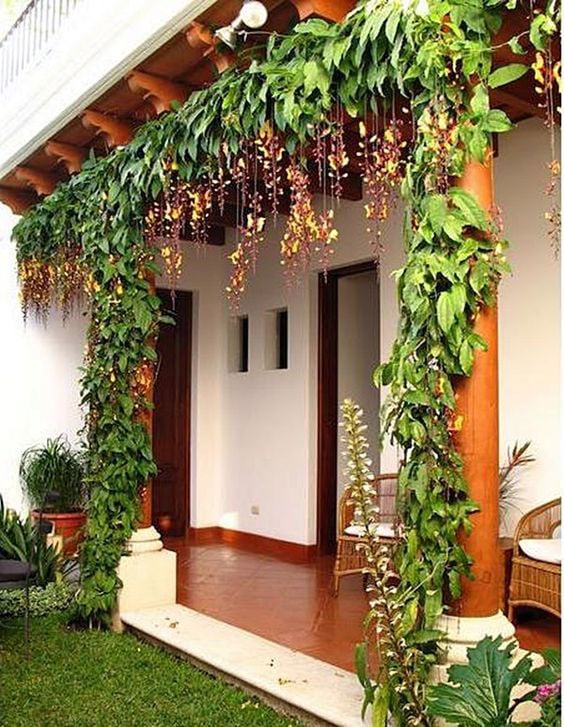 Jardinagem com trepadeiras Jardinagem com trepadeiras