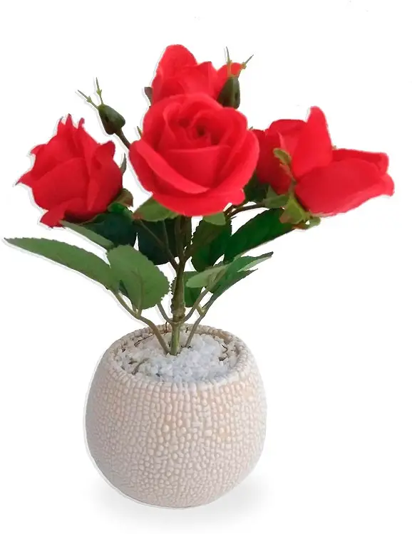 Arranjo de rosas vermelhas de presente de aniversario para esposa