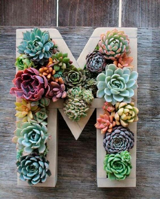 Quadro com suculentas para o Dia das Mães Quadro com suculentas para o Dia das Mães