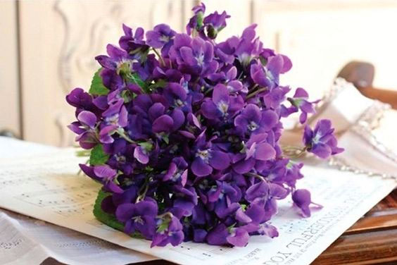 Buquê de violetas