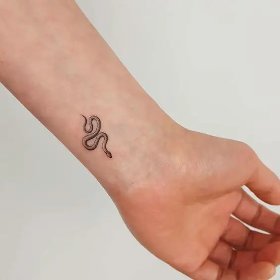 Tatuagem de cobra delicada