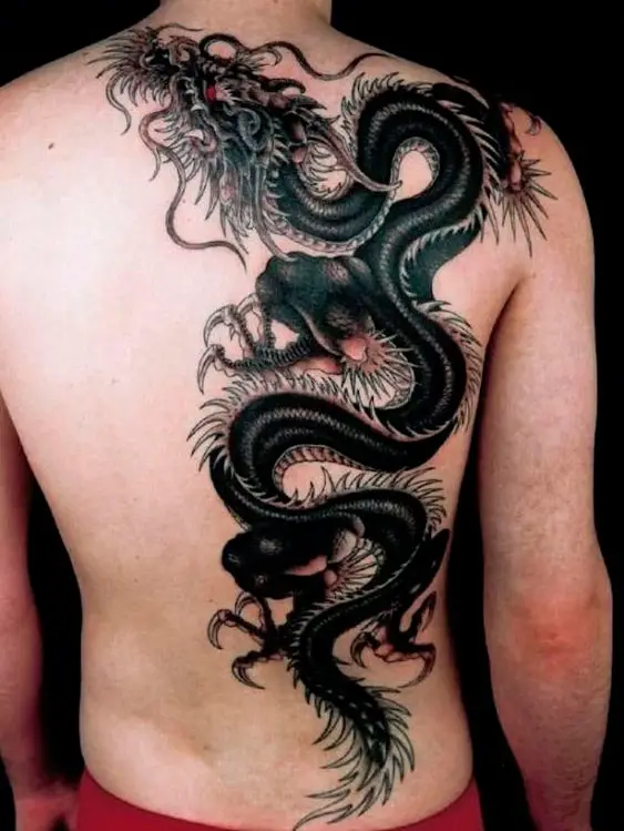 Tatuagem de um dragão nas costas