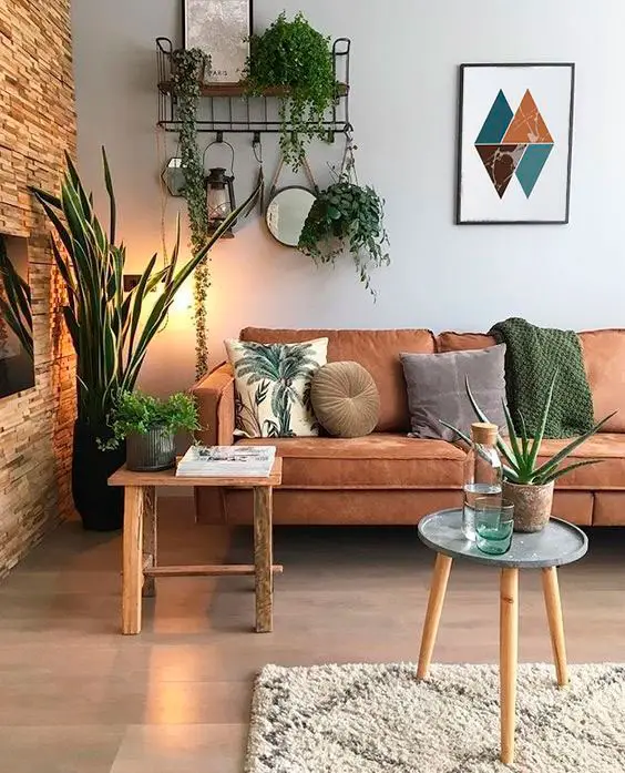 Decore a casa alugada com plantas