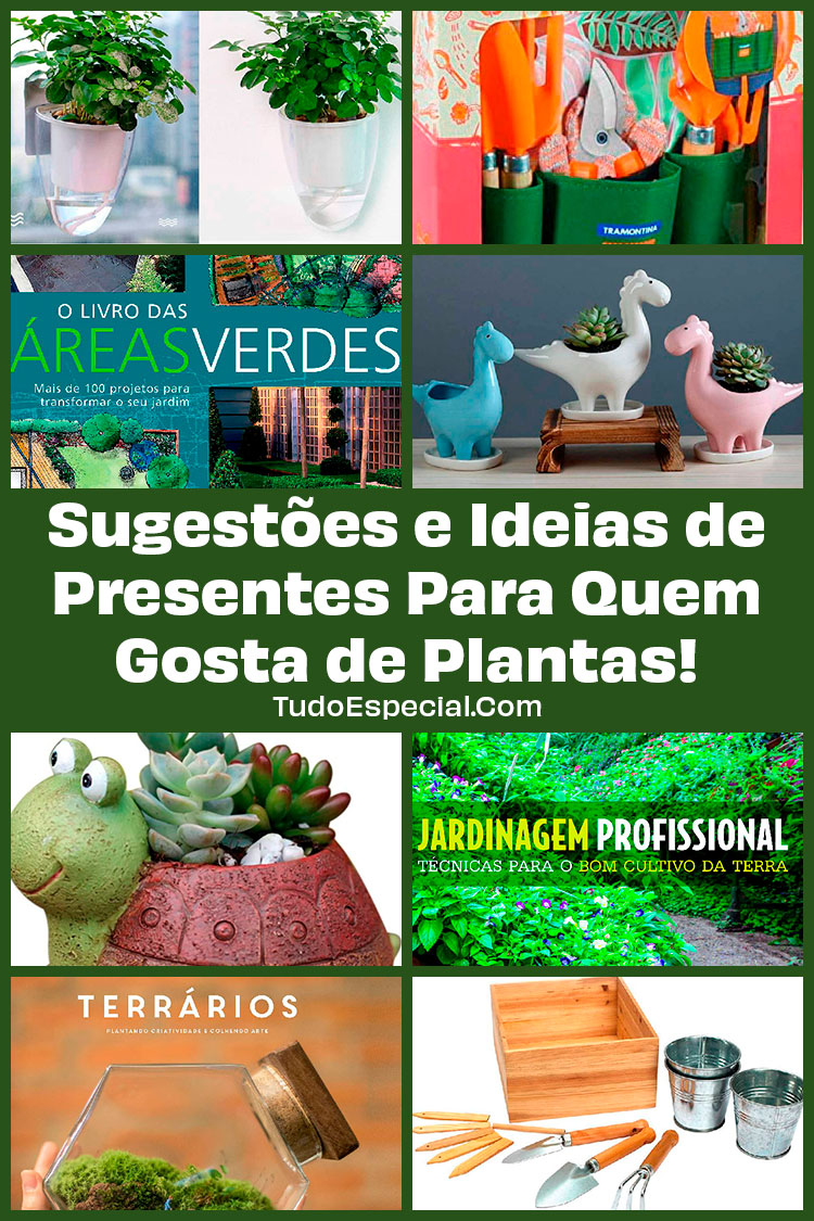 Ideias de Presentes Para Quem Gosta de Plantas